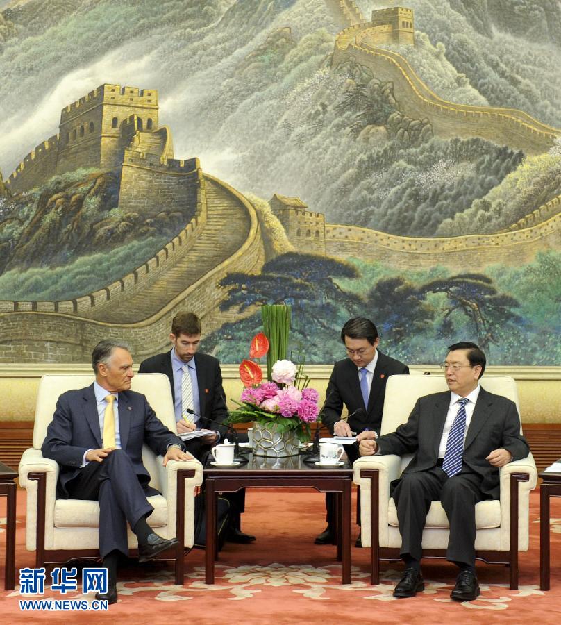  5月16日，全国人大常委会委员长张德江在北京人民大会堂会见葡萄牙总统席尔瓦。 新华社记者 张铎 摄 