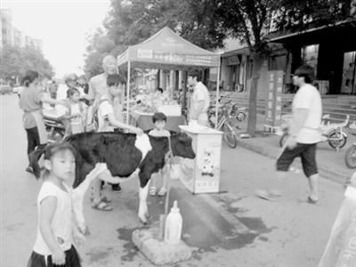 “ 活物 ” 营销频现市区