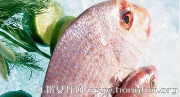 居家食疗养生中冰箱里应该常备的六种食物
