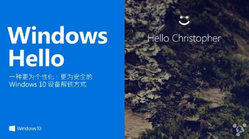 ΢ûбWindows 10ȫϵͳ