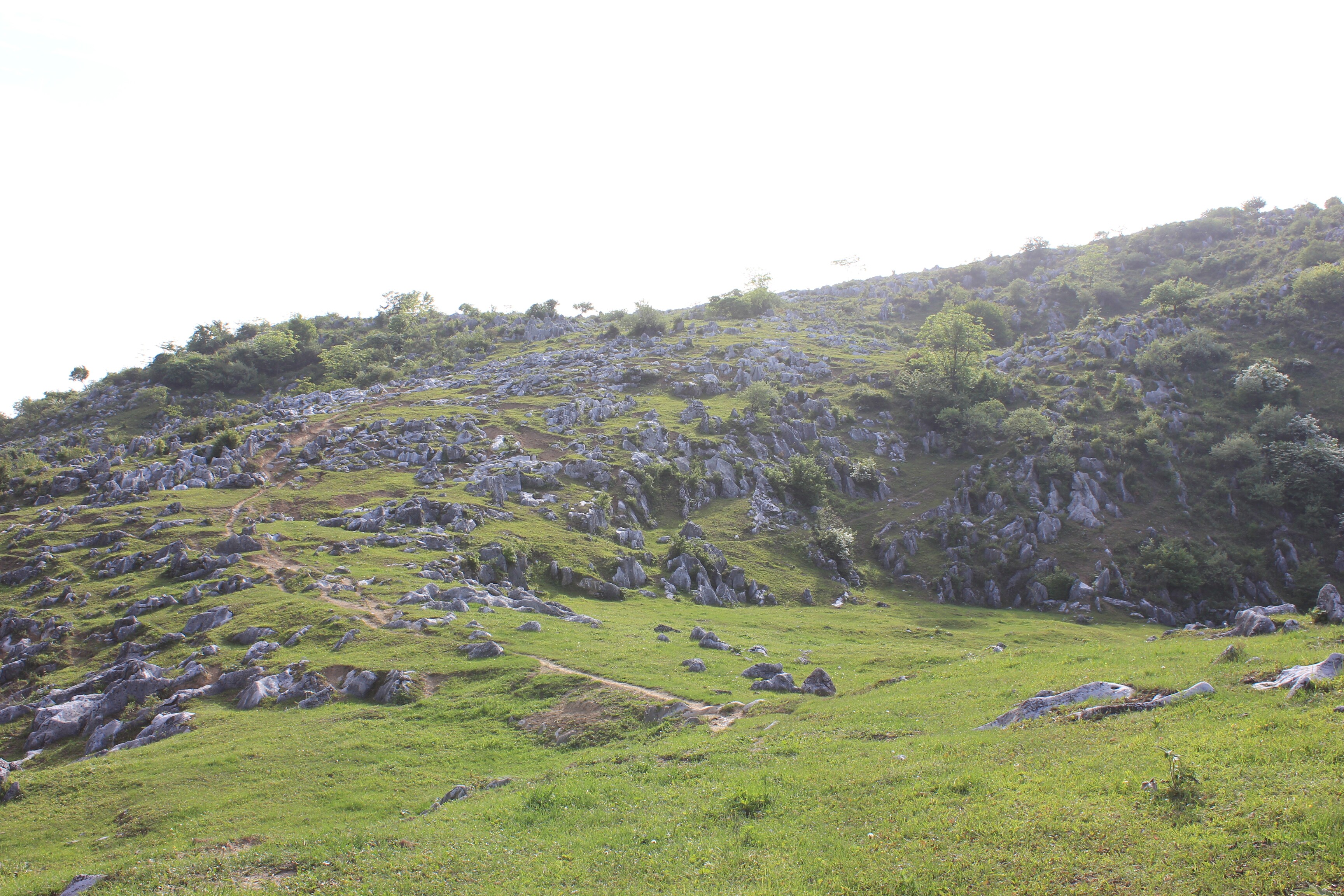 北阳山1