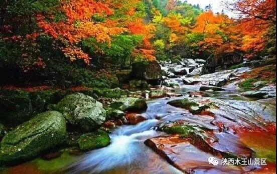 木王山的秋天，藏着你想不到的美