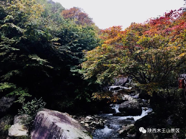 木王山的秋天，藏着你想不到的美