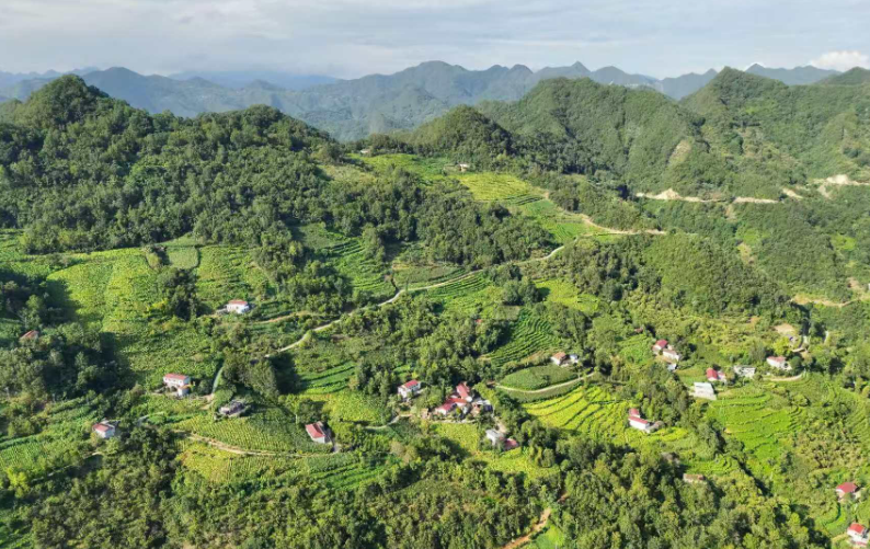 小镇蝶变入画来——镇安县庙沟镇奋力推进和美乡村建设